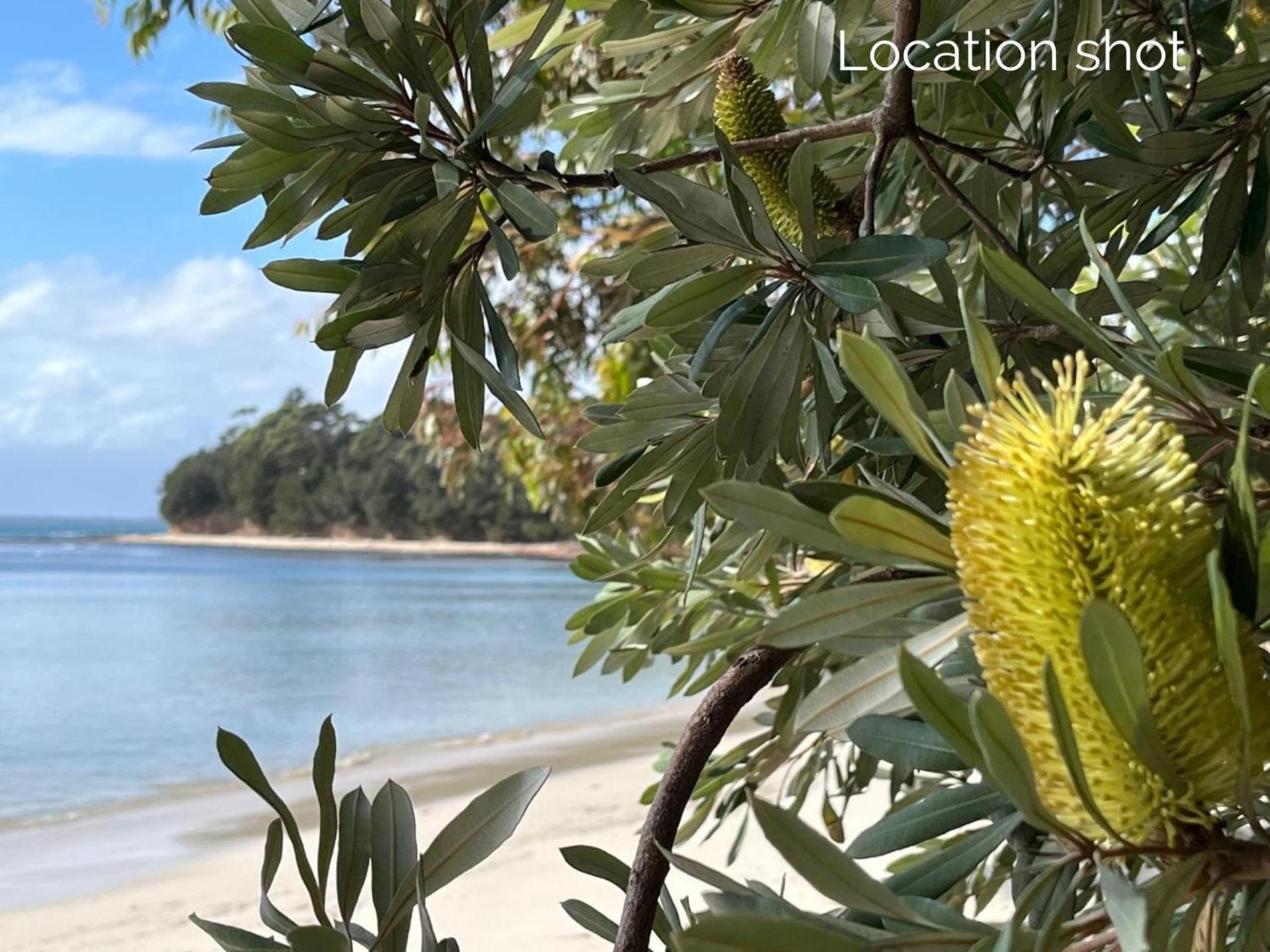 Апартаменты Banksia On Blenheim By Experience Jervis Bay Винсентия Экстерьер фото